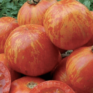 A pile of red and orange striped pumpkins.